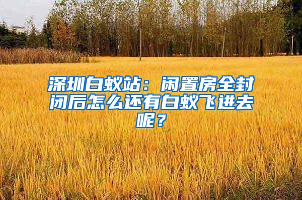 深圳白蟻站：閑置房全封閉后怎么還有白蟻飛進去呢？