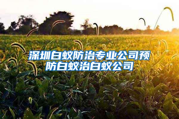 深圳白蟻防治專(zhuān)業(yè)公司預(yù)防白蟻治白蟻公司