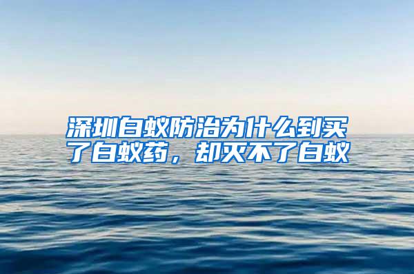 深圳白蟻防治為什么到買了白蟻藥，卻滅不了白蟻