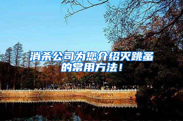消殺公司為您介紹滅跳蚤的常用方法！