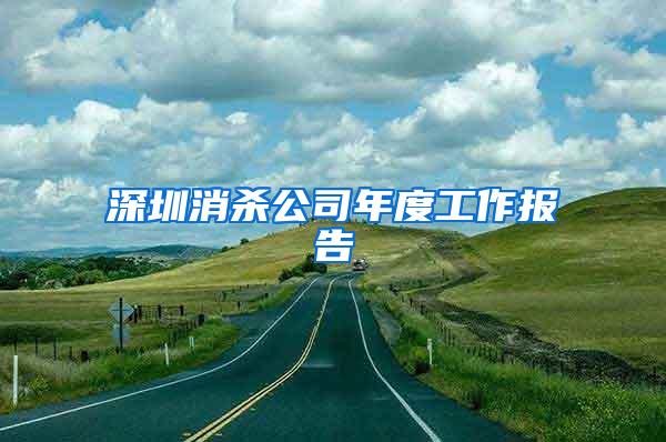 深圳消殺公司年度工作報(bào)告