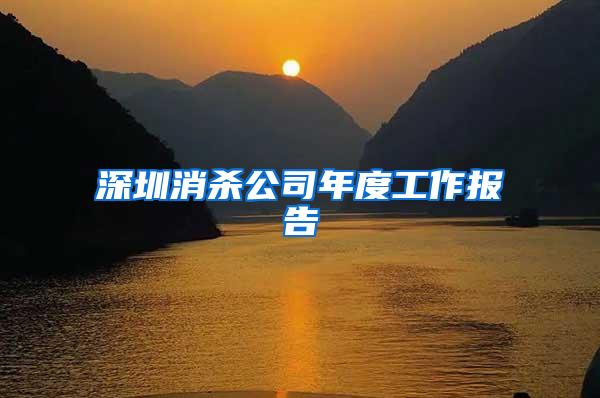 深圳消殺公司年度工作報告