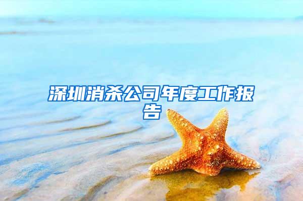 深圳消殺公司年度工作報告