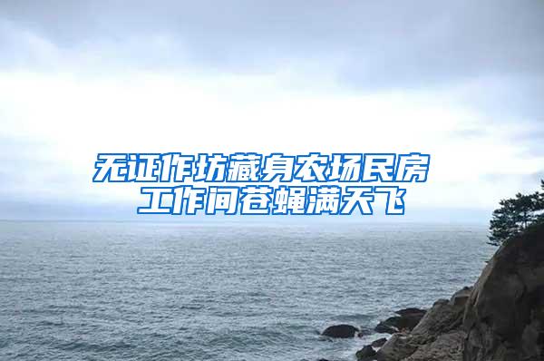 無證作坊藏身農(nóng)場民房 工作間蒼蠅滿天飛
