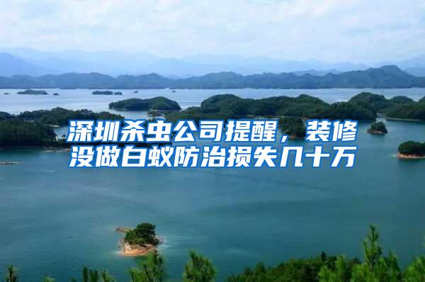 深圳殺蟲公司提醒，裝修沒做白蟻防治損失幾十萬