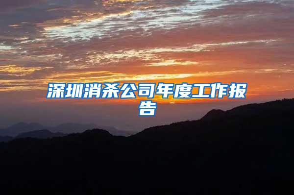 深圳消殺公司年度工作報告