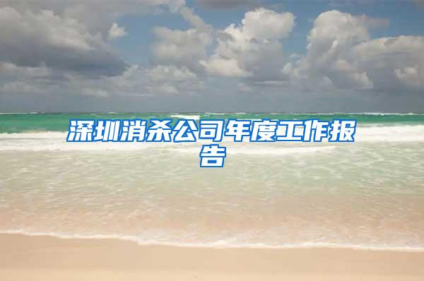 深圳消殺公司年度工作報告
