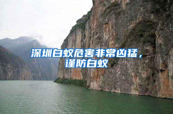 深圳白蟻危害非常兇猛，謹防白蟻
