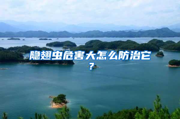 隱翅蟲危害大怎么防治它？
