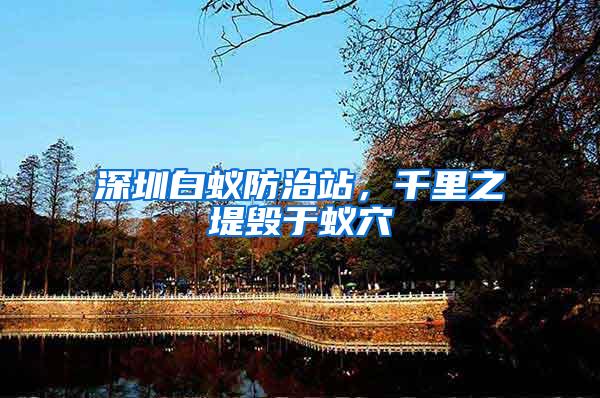 深圳白蟻防治站，千里之堤毀于蟻穴