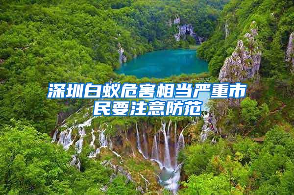 深圳白蟻危害相當嚴重市民要注意防范