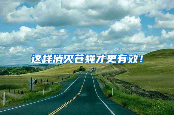 這樣消滅蒼蠅才更有效！