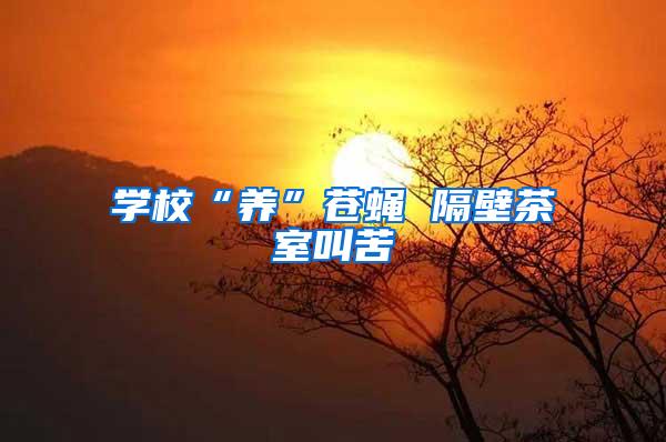 學?！梆B(yǎng)”蒼蠅 隔壁茶室叫苦