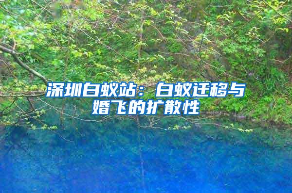 深圳白蟻站：白蟻遷移與婚飛的擴散性