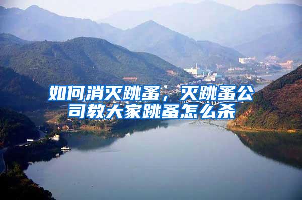如何消滅跳蚤，滅跳蚤公司教大家跳蚤怎么殺