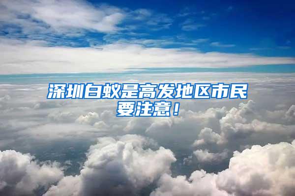 深圳白蟻是高發(fā)地區(qū)市民要注意！