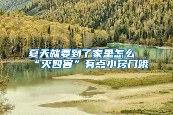 夏天就要到了家里怎么“滅四害”有點小竅門哦