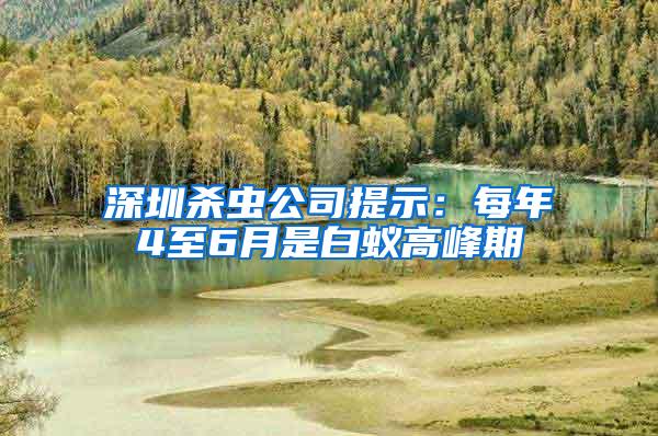 深圳殺蟲公司提示：每年4至6月是白蟻高峰期