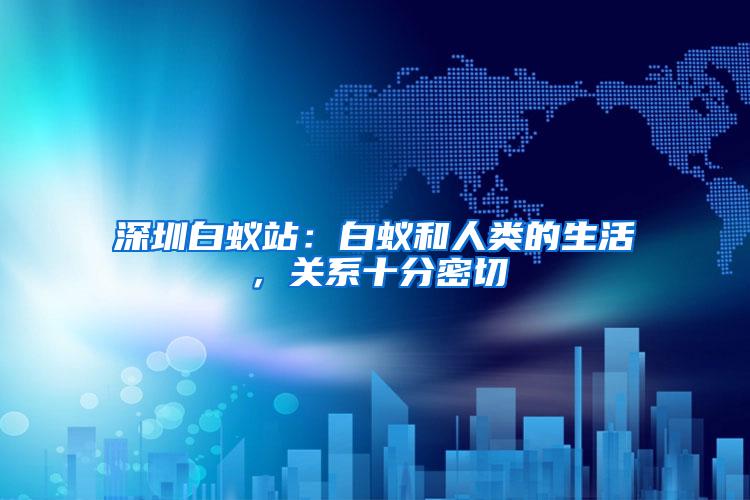 深圳白蟻站：白蟻和人類的生活，關(guān)系十分密切