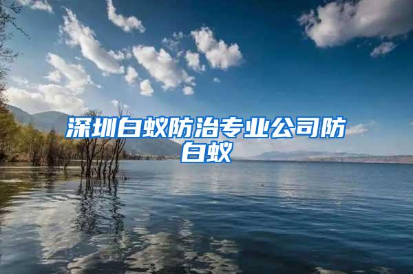 深圳白蟻防治專業(yè)公司防白蟻