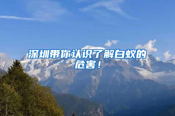 深圳帶你認(rèn)識(shí)了解白蟻的危害！