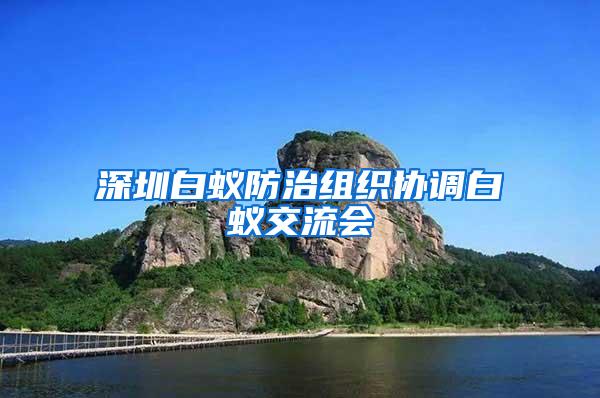 深圳白蟻防治組織協(xié)調(diào)白蟻交流會