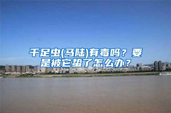 千足蟲(馬陸)有毒嗎？要是被它蟄了怎么辦？