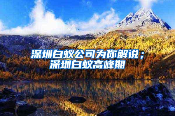 深圳白蟻公司為你解說(shuō)；深圳白蟻高峰期