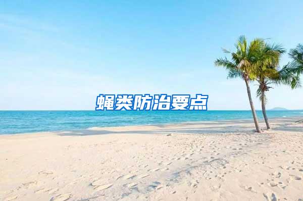 蠅類防治要點