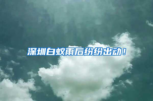 深圳白蟻雨后紛紛出動(dòng)！