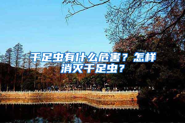 千足蟲有什么危害？怎樣消滅千足蟲？