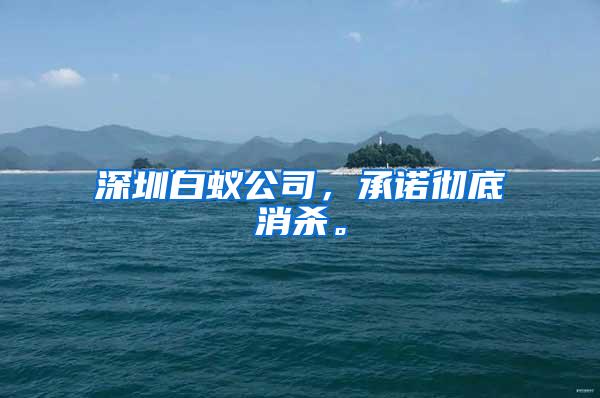 深圳白蟻公司，承諾徹底消殺。