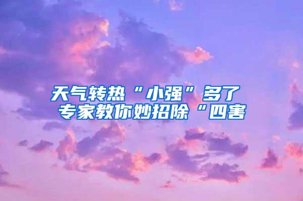 天氣轉(zhuǎn)熱“小強(qiáng)”多了 專(zhuān)家教你妙招除“四害