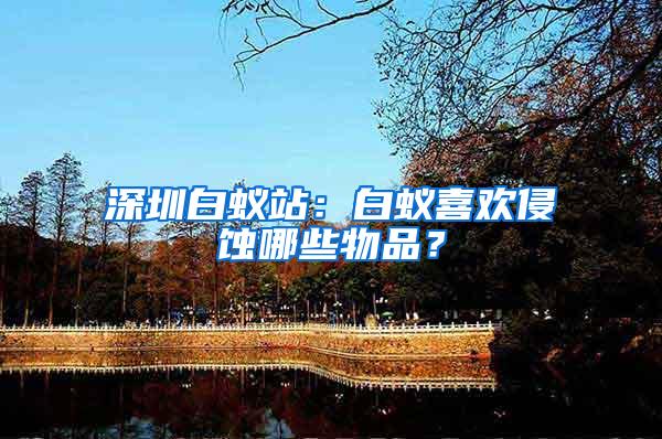 深圳白蟻站：白蟻喜歡侵蝕哪些物品？