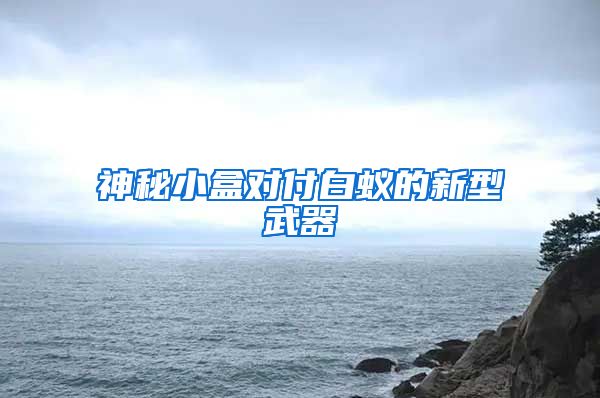 神秘小盒對付白蟻的新型武器