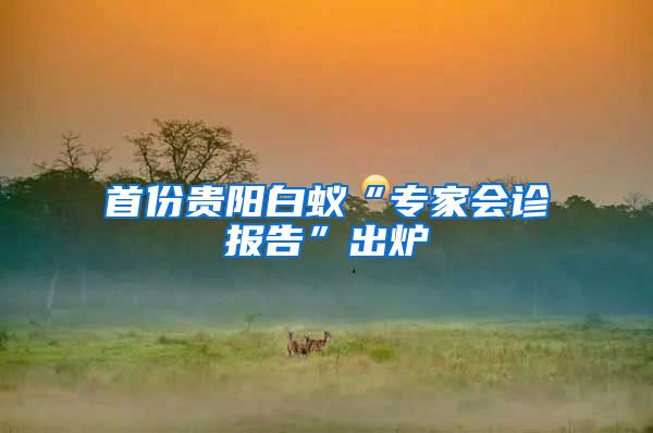 首份貴陽(yáng)白蟻“專家會(huì)診報(bào)告”出爐