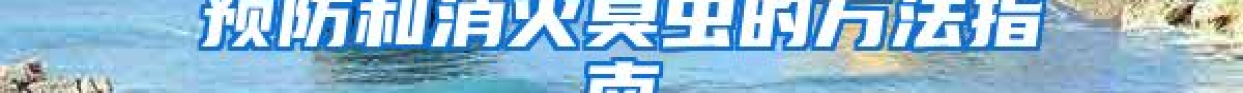 預(yù)防和消滅臭蟲(chóng)的方法指南