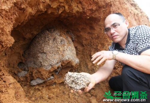 白蟻防治費(fèi)用,滅白蟻殺白蟻公司 防治白蟻,白蟻防治方法